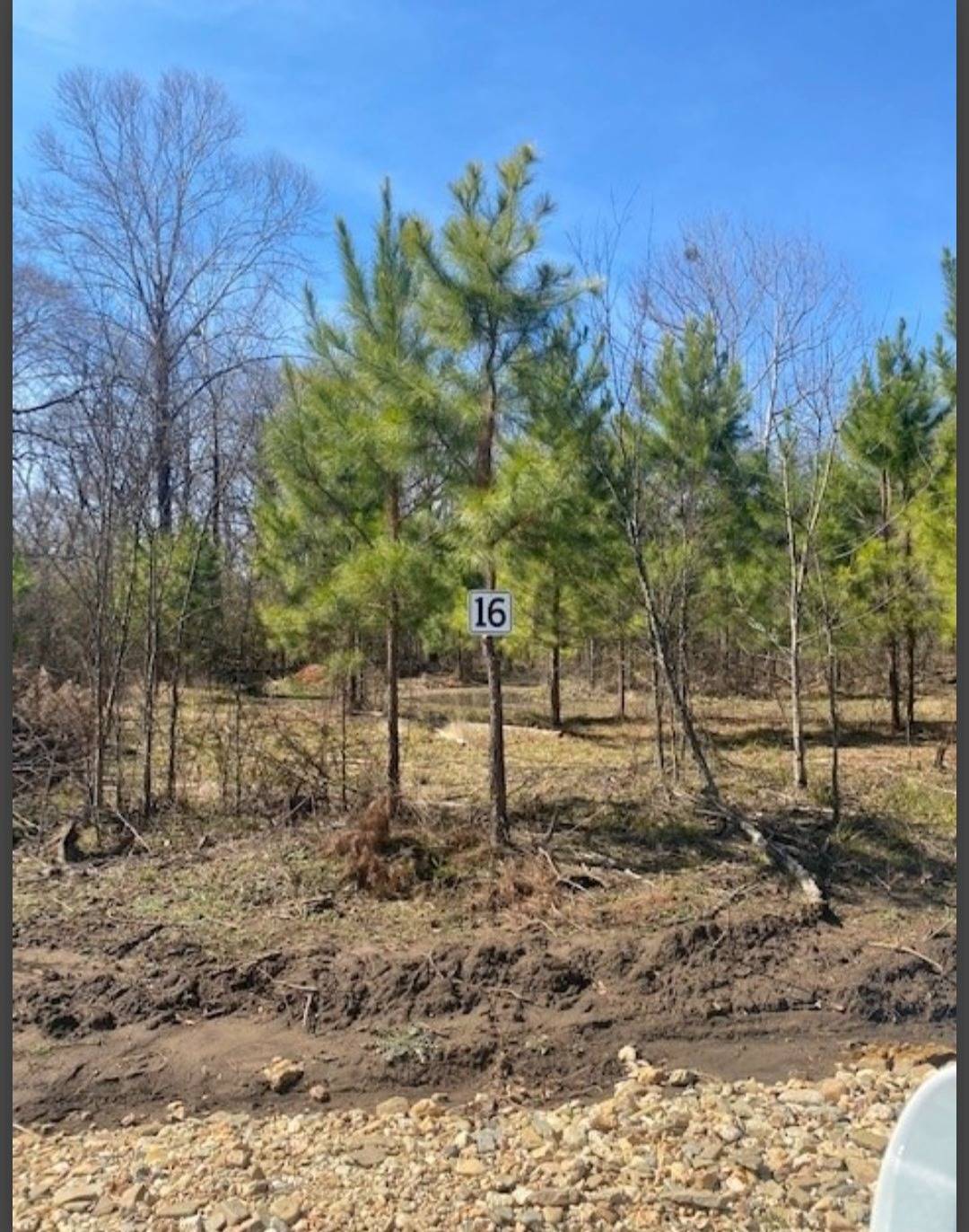 Photo 2 of 2 of land for sale at Lot # 16 Hidden Pines, Broken Bow, OK 74728