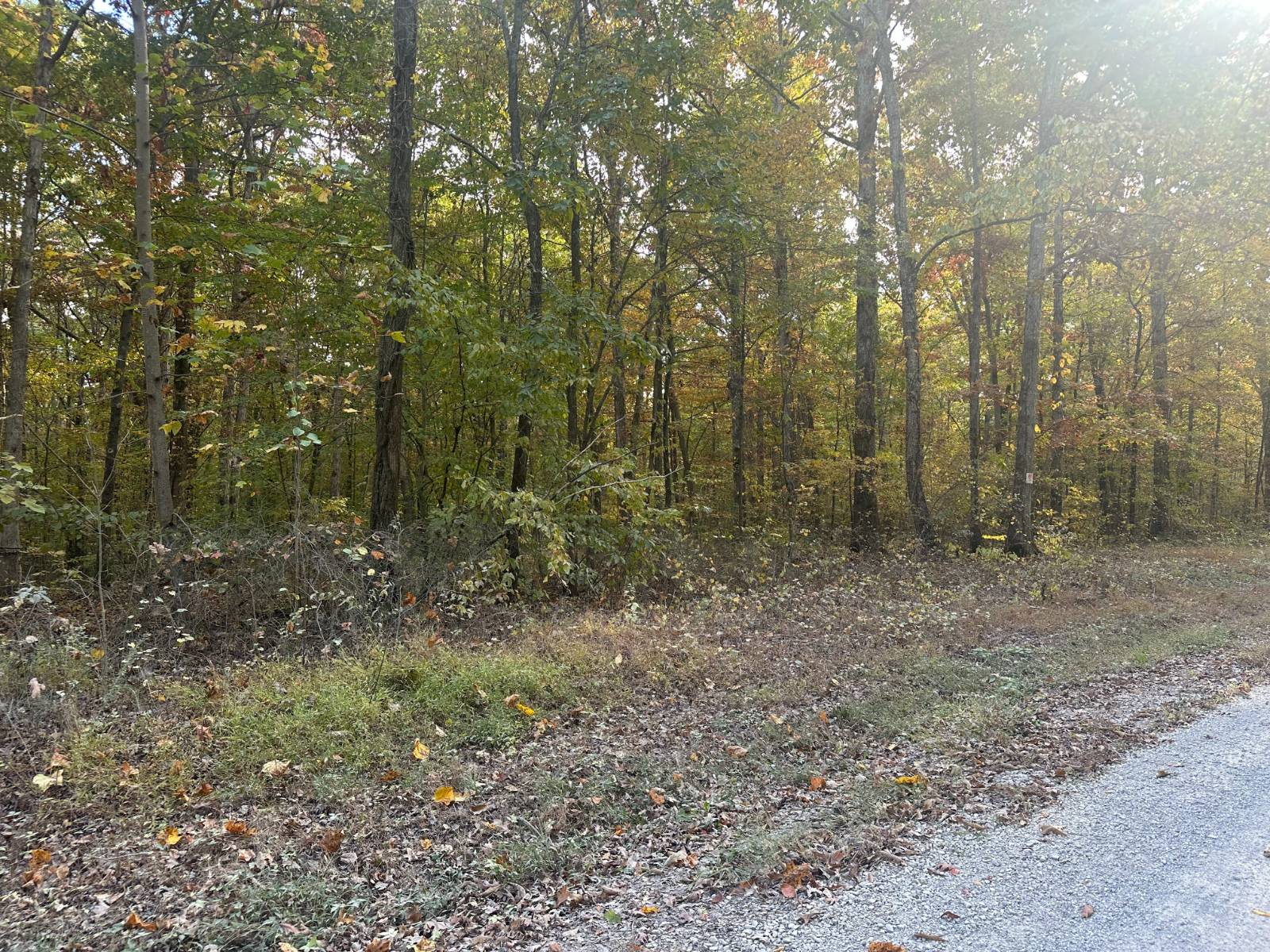 54.8-Acre Hunting Land for Sale, Houston County, TN, photo 3 of 6