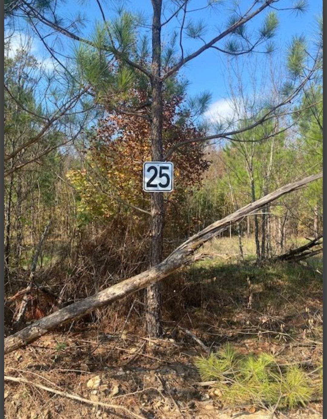 Photo 1 of 3 of land for sale at Lot 25 Hidden Pines, Broken Bow, OK 74728